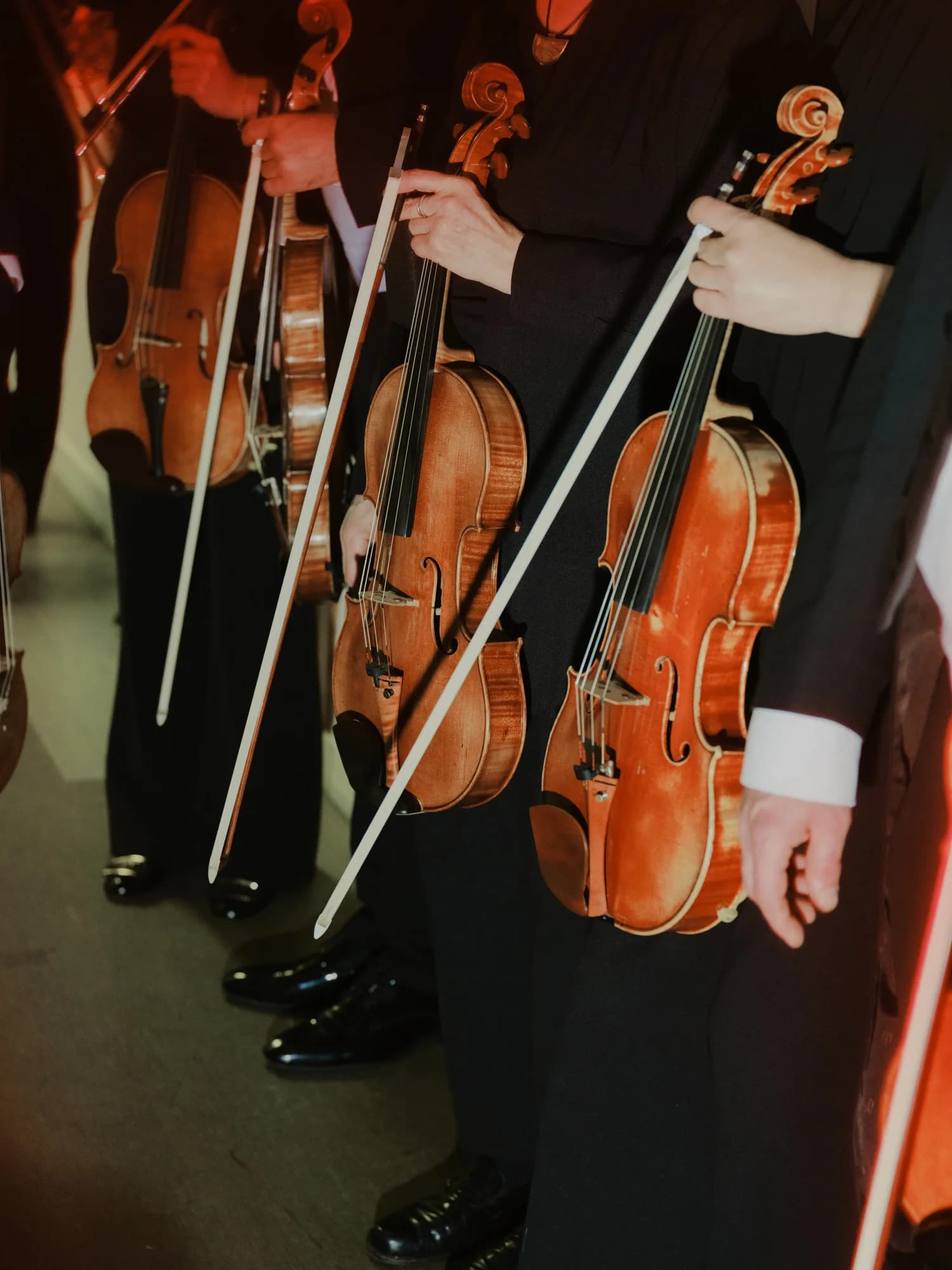 Violinen