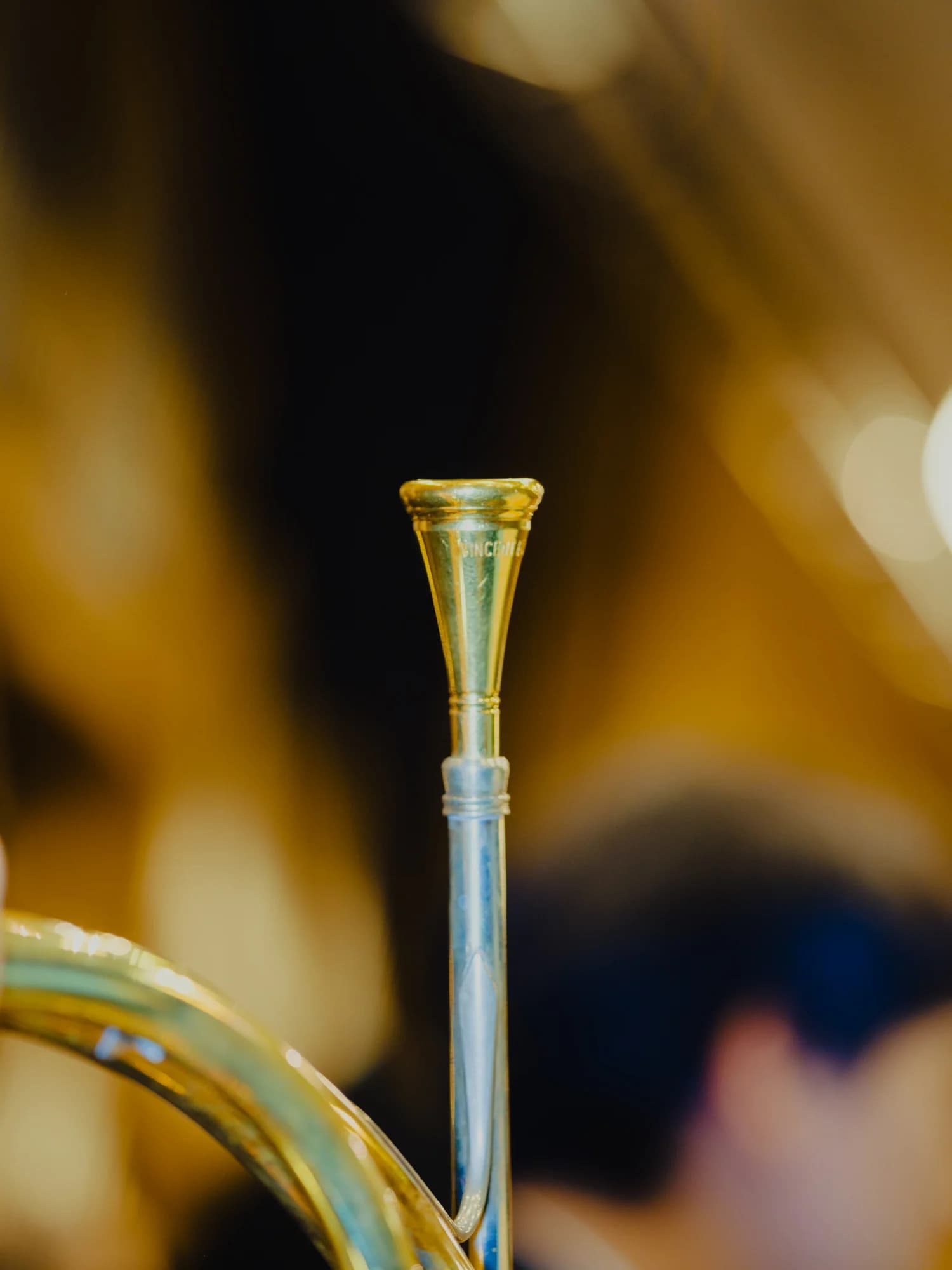 Horn
