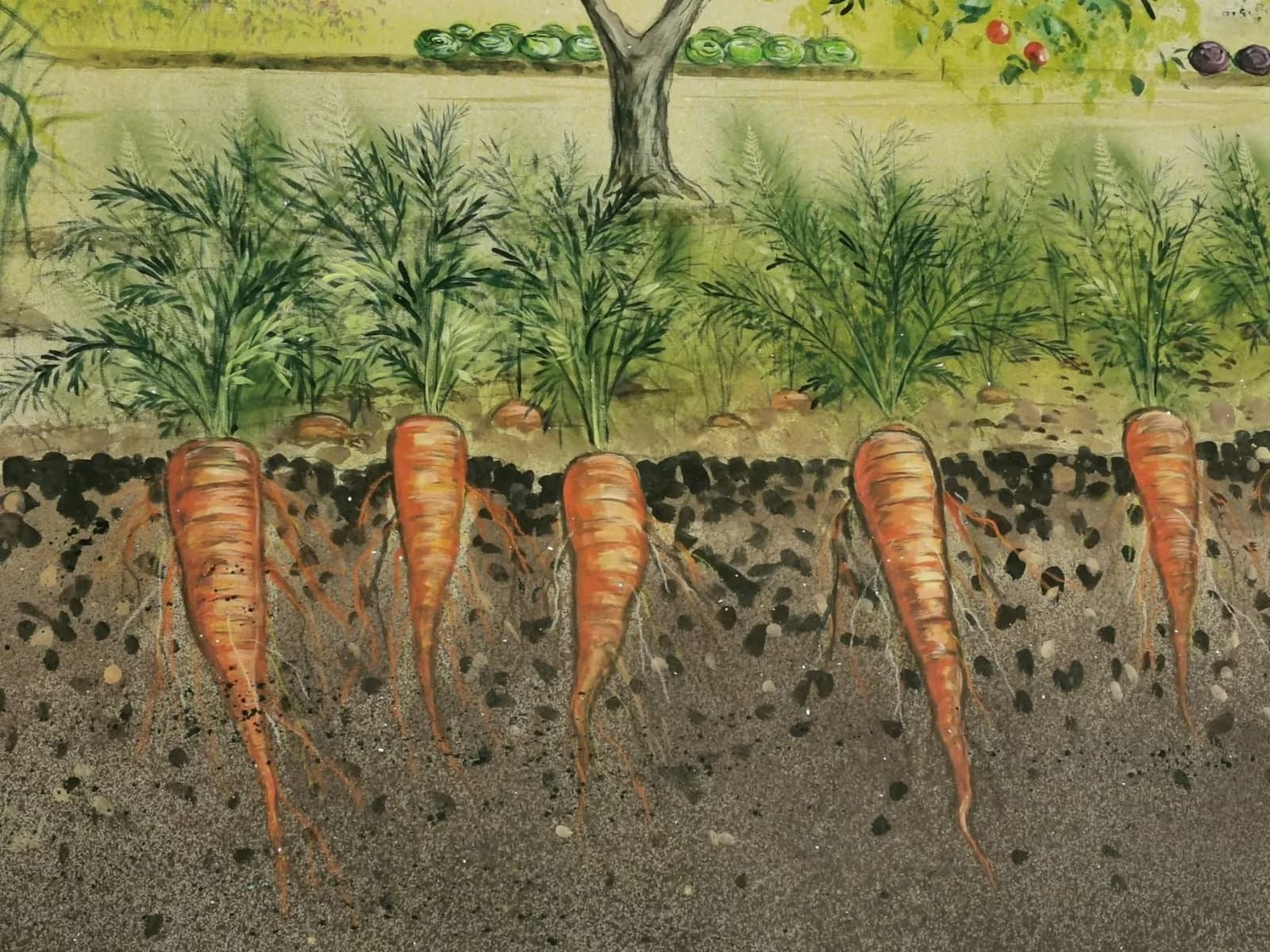 1. Familienkonzert - Koenig Karotte — Titelbild